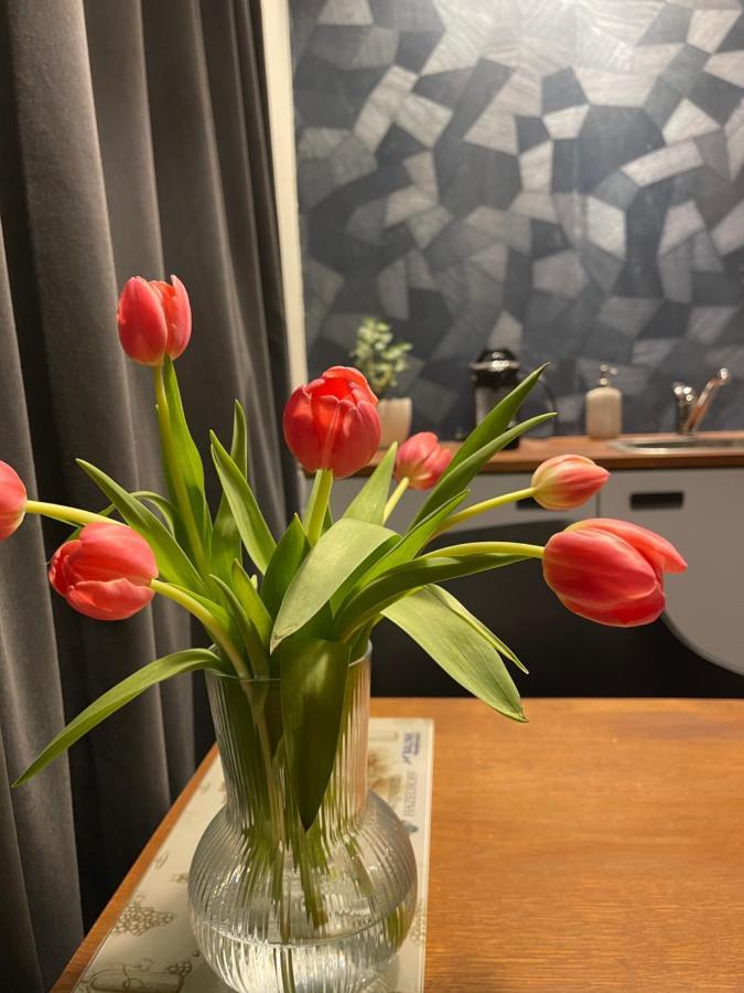 Bed & Breakfast Vannienke Tersoal Dış mekan fotoğraf